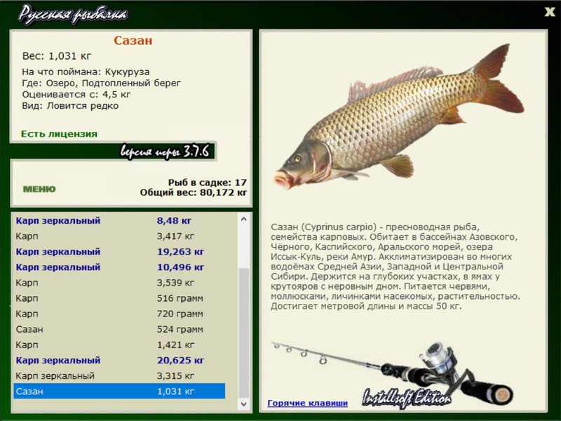 Белый амур рыба фото и описание на что ловить