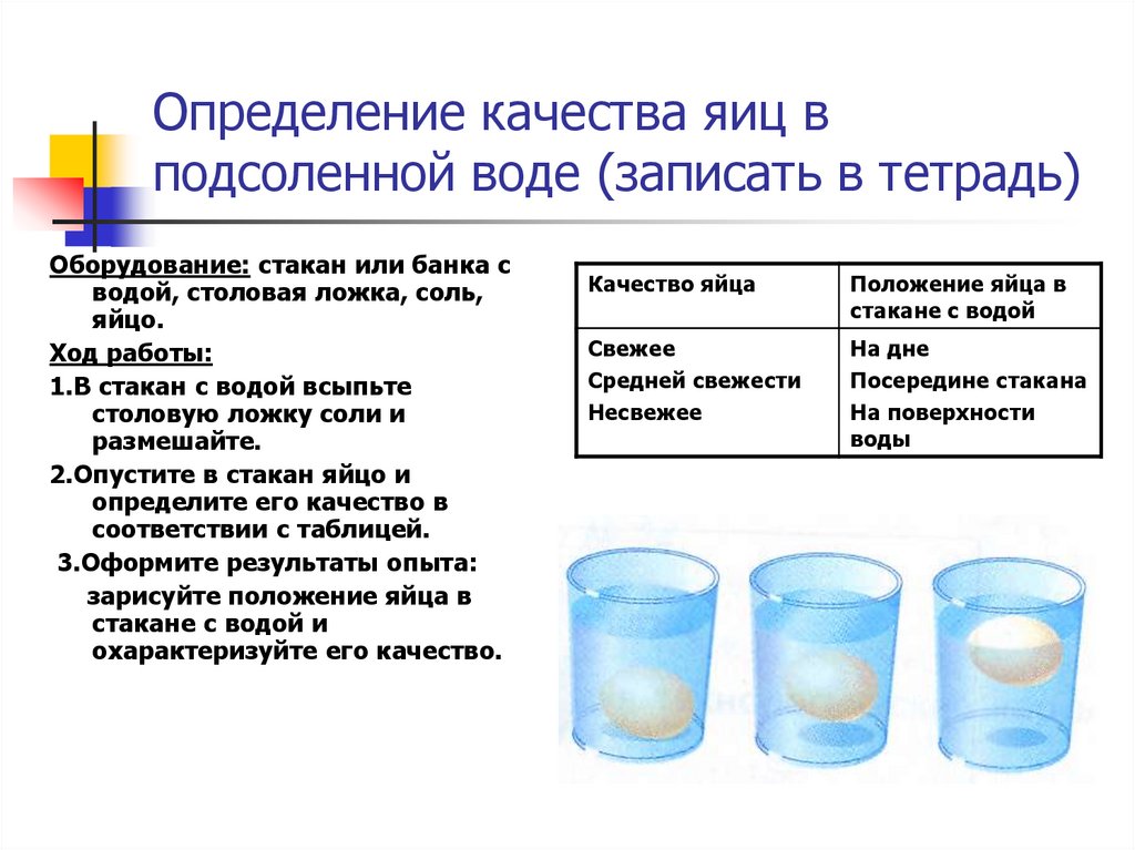 Как определить свежесть яиц в воде картинка