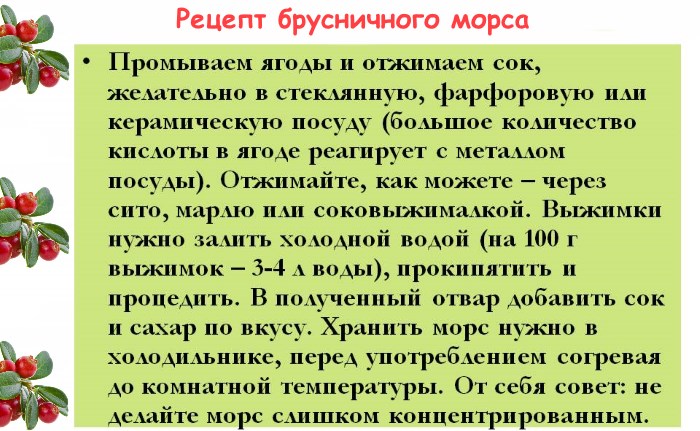 Брусника обладает. Брусника при цистите. Брусничный лист от цистита. Брусничный лист при цистите. Брусничный морс от цистита.