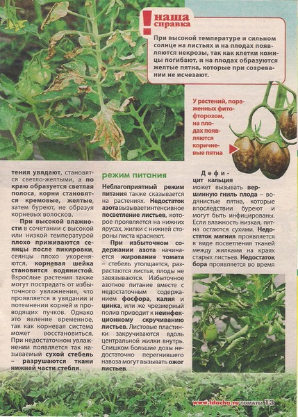 Болезни томатов в теплице описание с фотографиями и способы лечения