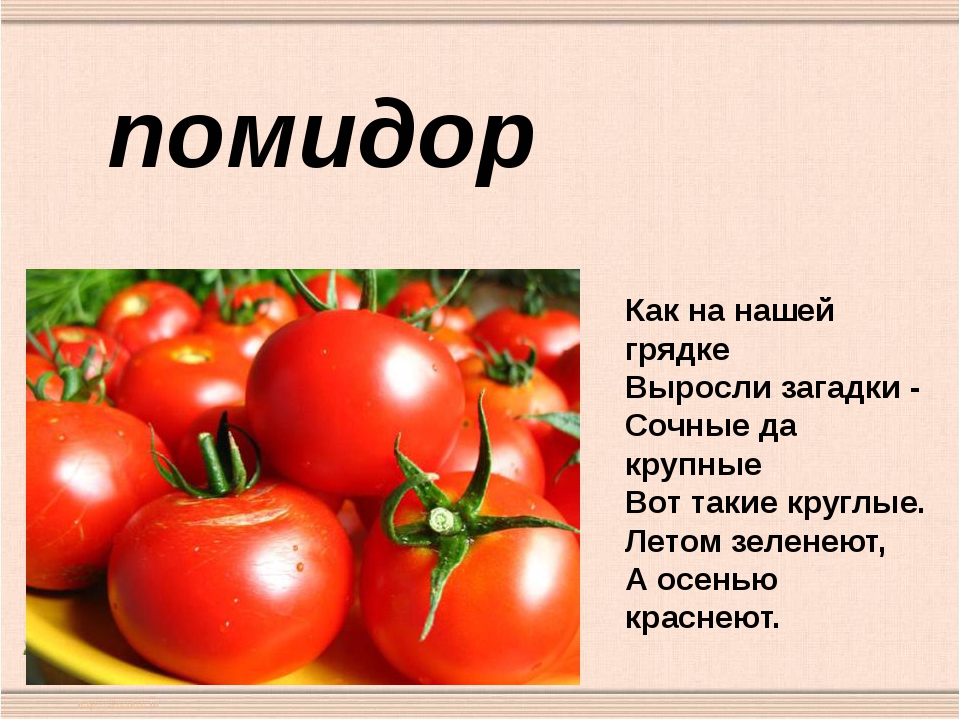 Какое окончание в слове помидор. Загадка про помидор. Томат загадка. Стих про помидор. Загадка про помидор для детей.