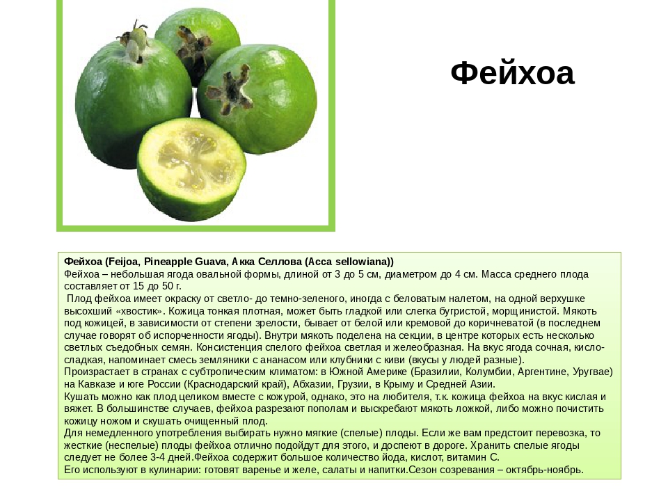 Фейхоа полезные противопоказания. Фейхоа фрукт витамины. Фейхоа описание вкуса. Ягода фейхоа противопоказания. Чем полезна фейхоа.
