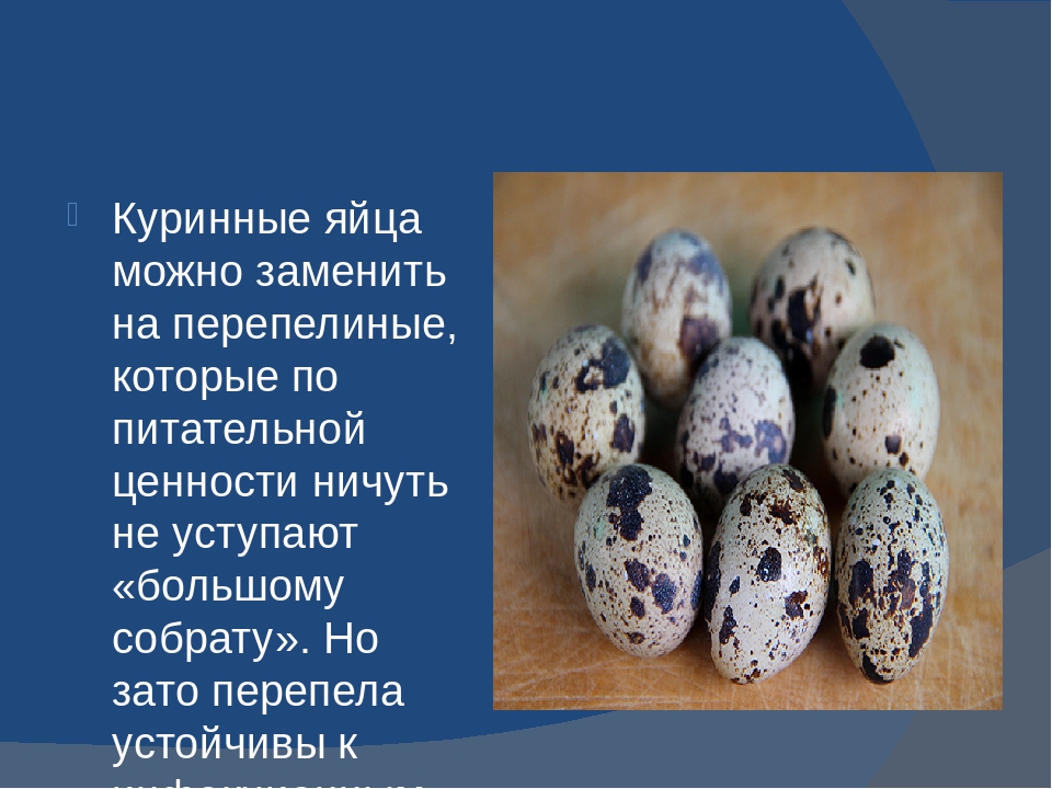 Сколько перепелиных яиц можно взрослому. Ценность перепелиных яиц. Размер перепелиного яйца. Перепелиные яйца и куриные сравнение. Что полезного в перепелиных яйцах.