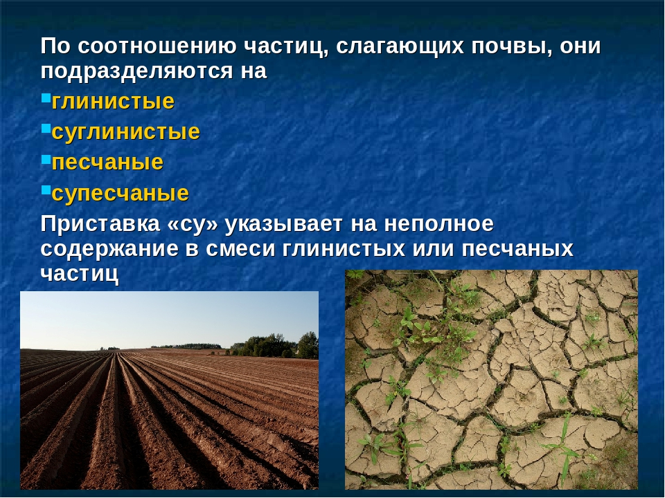 Повышение плодородие почвы называется. Почвы и урожай презентация. Плодородие почв география. Глинистая суглинистая супесчаная Песчаная. Почвы по плодородности.