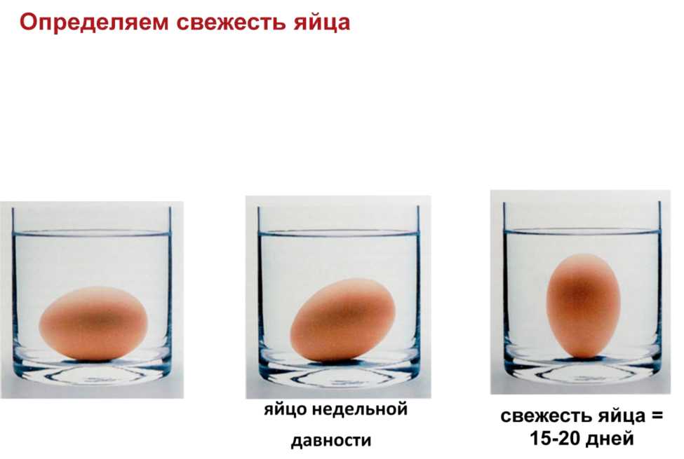 Проверить яйца на свежесть в воде домашних. Яйцо недельной давности. Свежесть яиц. Свежесть яйца по воде. Выяснить свежесть и температуру яйца.