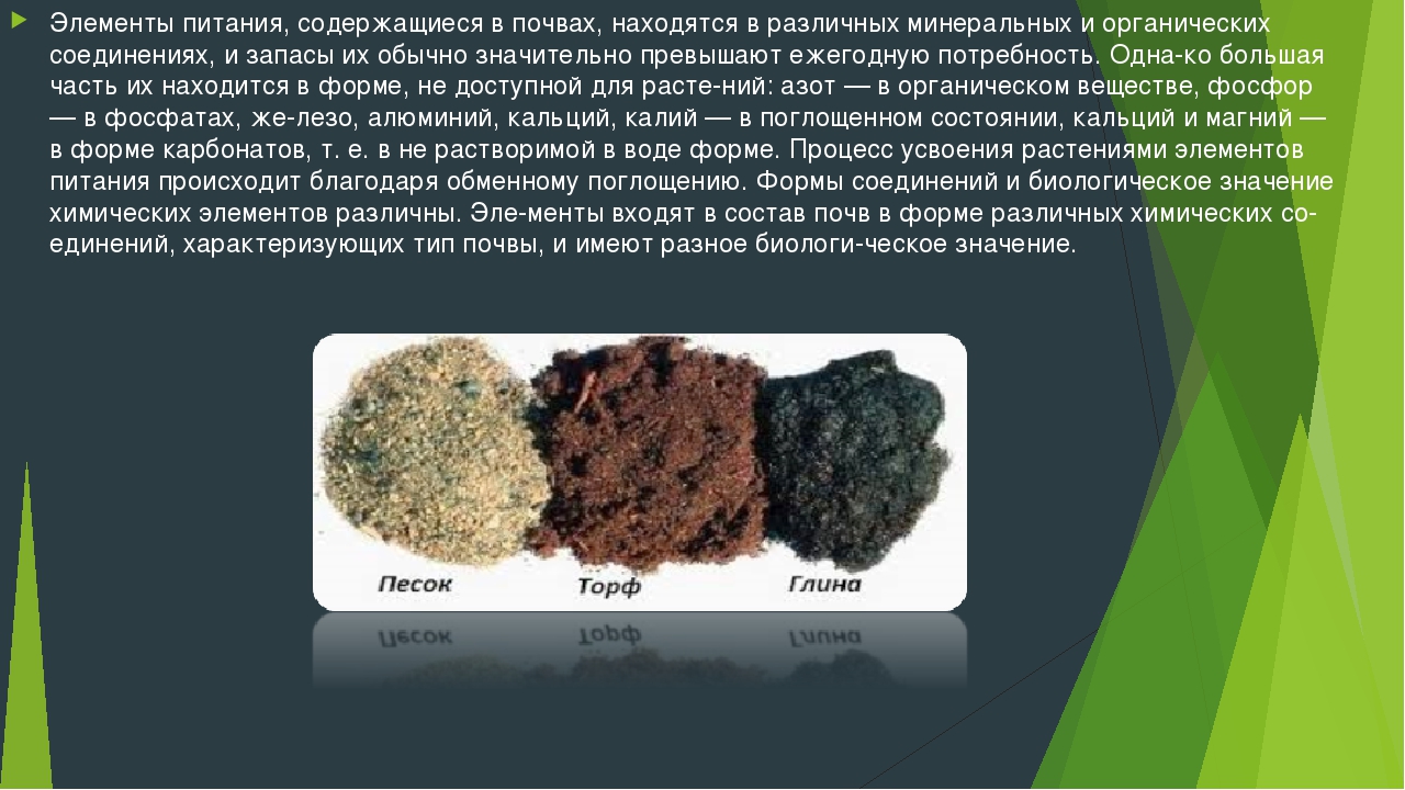 Газообразная почва. Минеральные вещества в почве. Минеральные компоненты почвы. Химические элементы в почве. Химическая структура почвы.