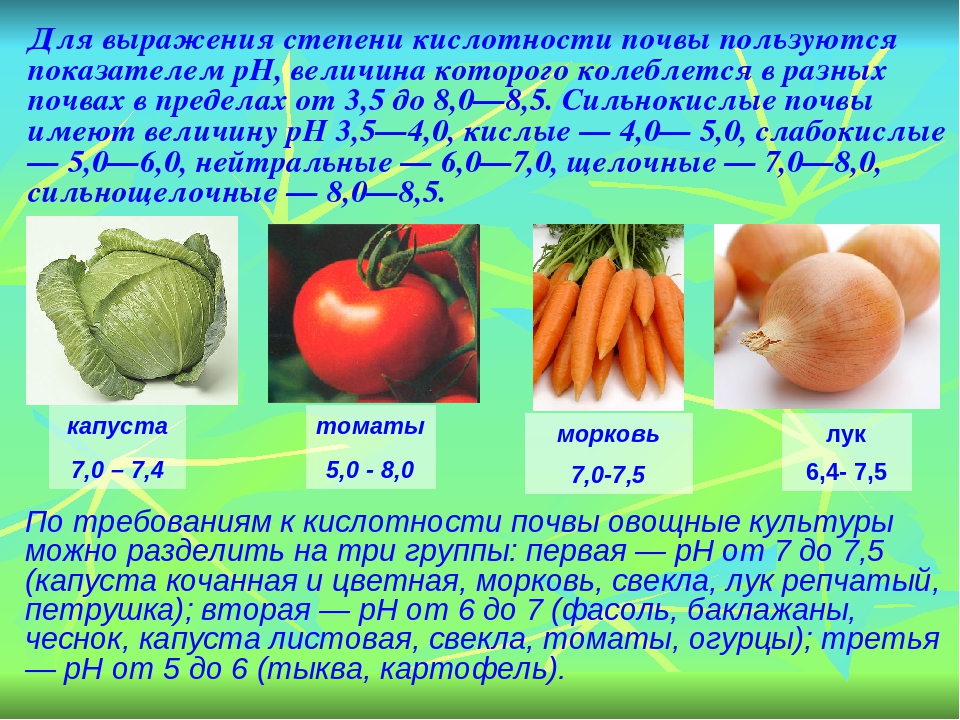 Какая кислотность почвы для томатов. Какие овощи не любят кислую почву. РН для овощей. PH для томатов. Почва для овощных культур.