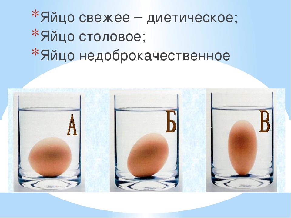 Свежее ли яйцо. Определить свежесть яиц. Яйцо диетическое и столовое. Как проверить срок годности яиц. Разница яиц.