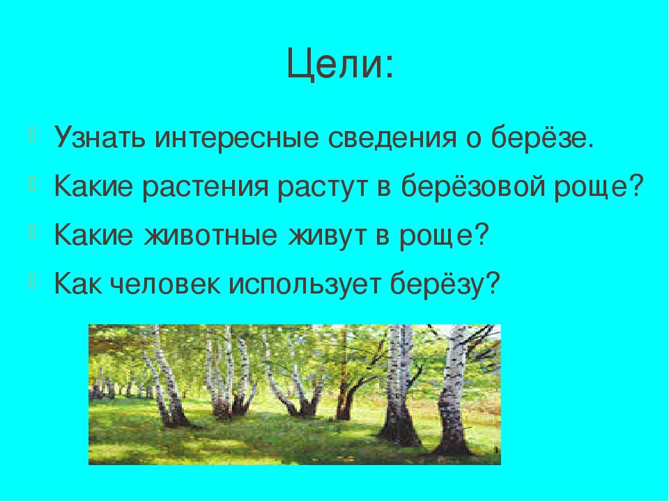 Сочинение Про Березу В Научном Стиле