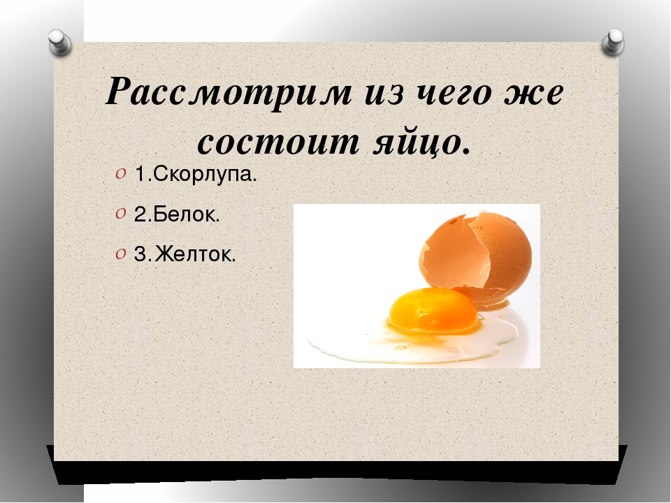 Готовые исследовательские работы младших школьников с презентацией про яйцо