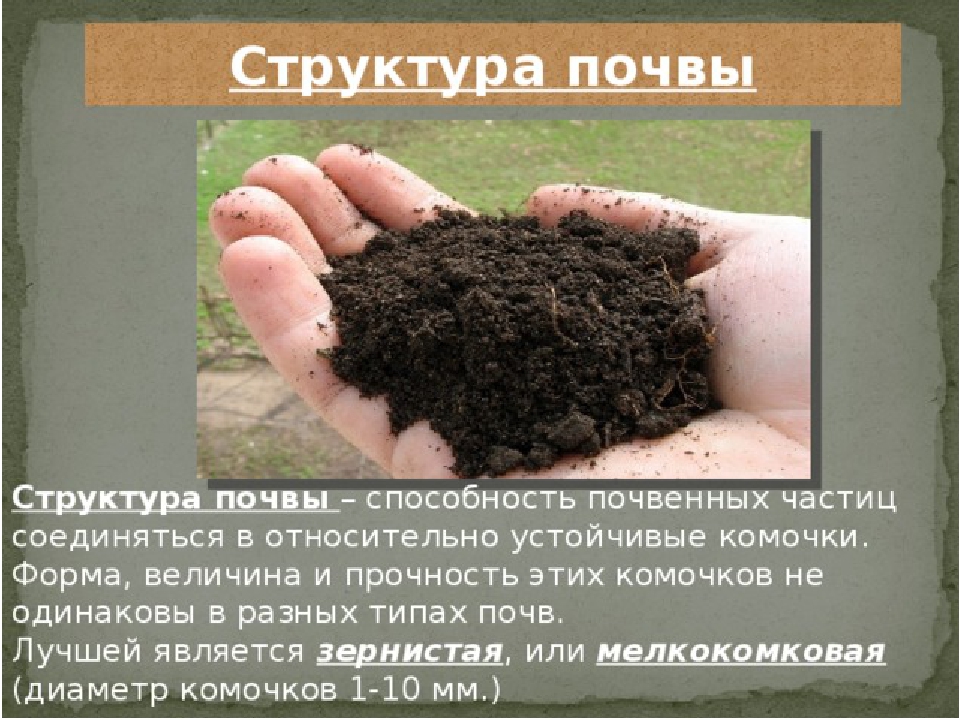 Почва является системой. Плитчатая структура почвы. Состав почвы. Комковатая структура почвы. Почва структура почвы.