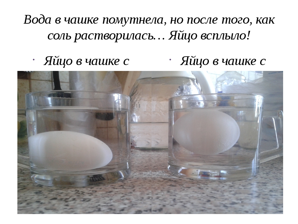 Яйца всплывают в воде можно ли. Сырое яйцо всплывает. Яйцо в воде. Свежее яйцо не тонет в воде. Опыт с яйцом и водой.
