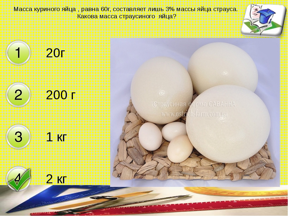 Яйцо курицы вес. Категории яиц куриных. Категории яиц и вес. Вес куриного яйца. Категории и масса куриных яиц.