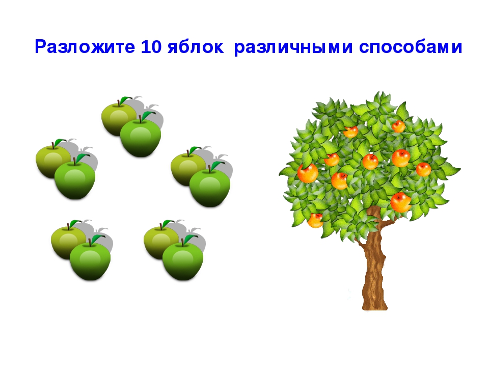 6 кг яблок