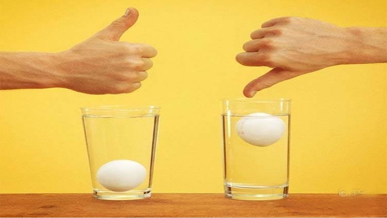 Свежесть сырого яйца. Яйцо в стакане с водой. Яйцо в соленой воде. Опыт с яйцом и водой. Погружение в воду яйца.
