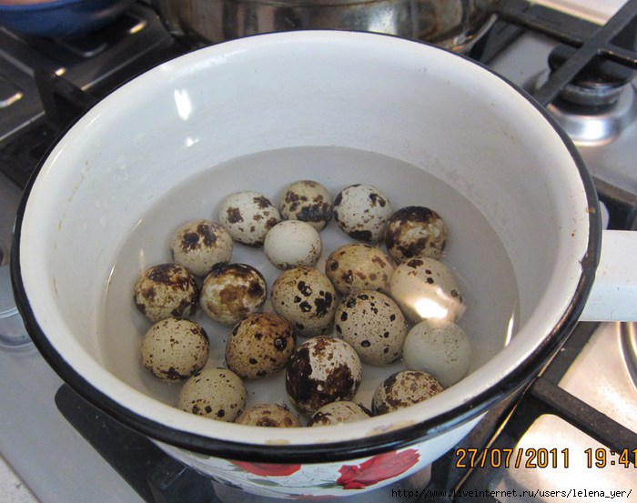 Перепелиные яйца всплыли в холодной воде. Свежесть перепелиных яиц. Свежие перепелиные яйца. Определить свежесть перепелиных яиц. Свежесть перепелиных яиц в воде.