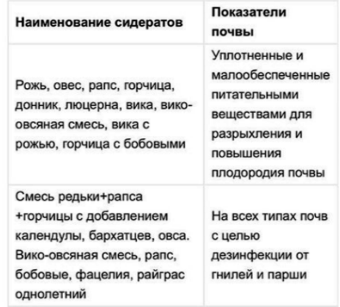 Сидераты для глинистой почвы таблица. Сидераты многолетники список. Сидераты многолетние список для огорода. Двулетние растения сидераты.