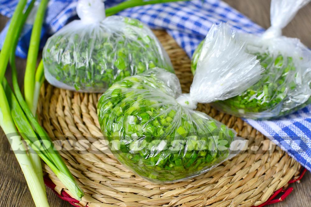 Заготовки из зеленого лука на зиму рецепты с фото