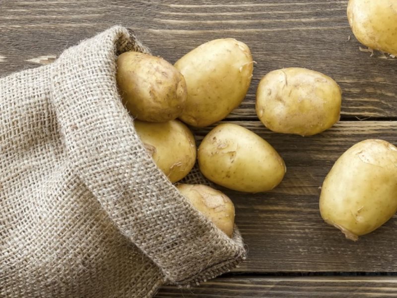Московский картофель семенной. Семена картофеля. Семена картофеля семенного. Зерно и картофель. Семечка картофеля.