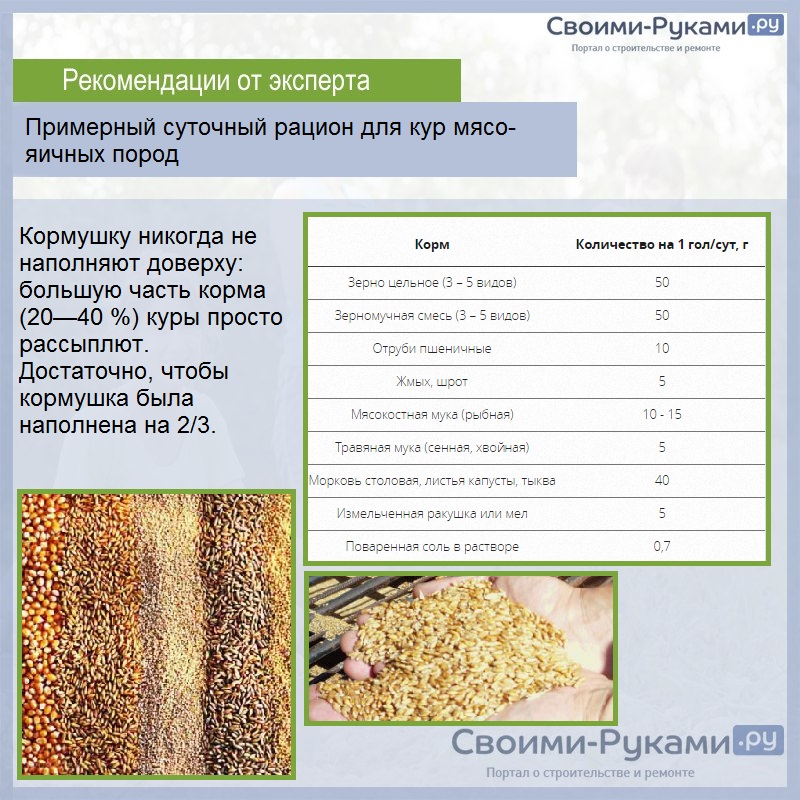 Можно ли дать курам прокисшую кашу