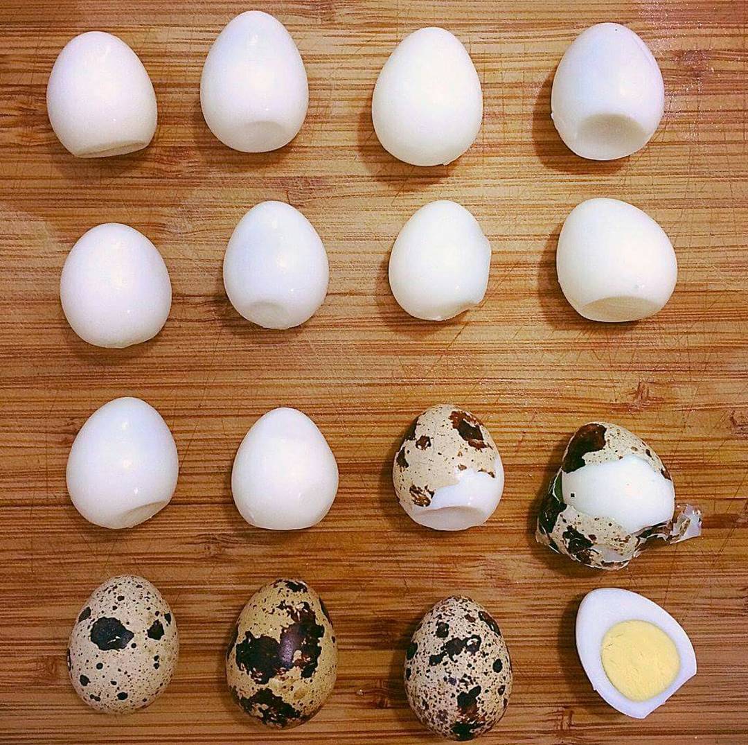 Размер перепелиного яйца