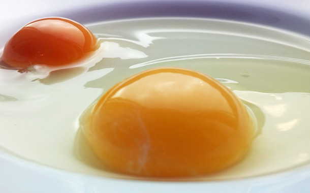 Цвет яичного желтка. Оранжевое яйцо. Оранжевый желток. Светло желтый желток в яйце. Почему яйцо оранжевое