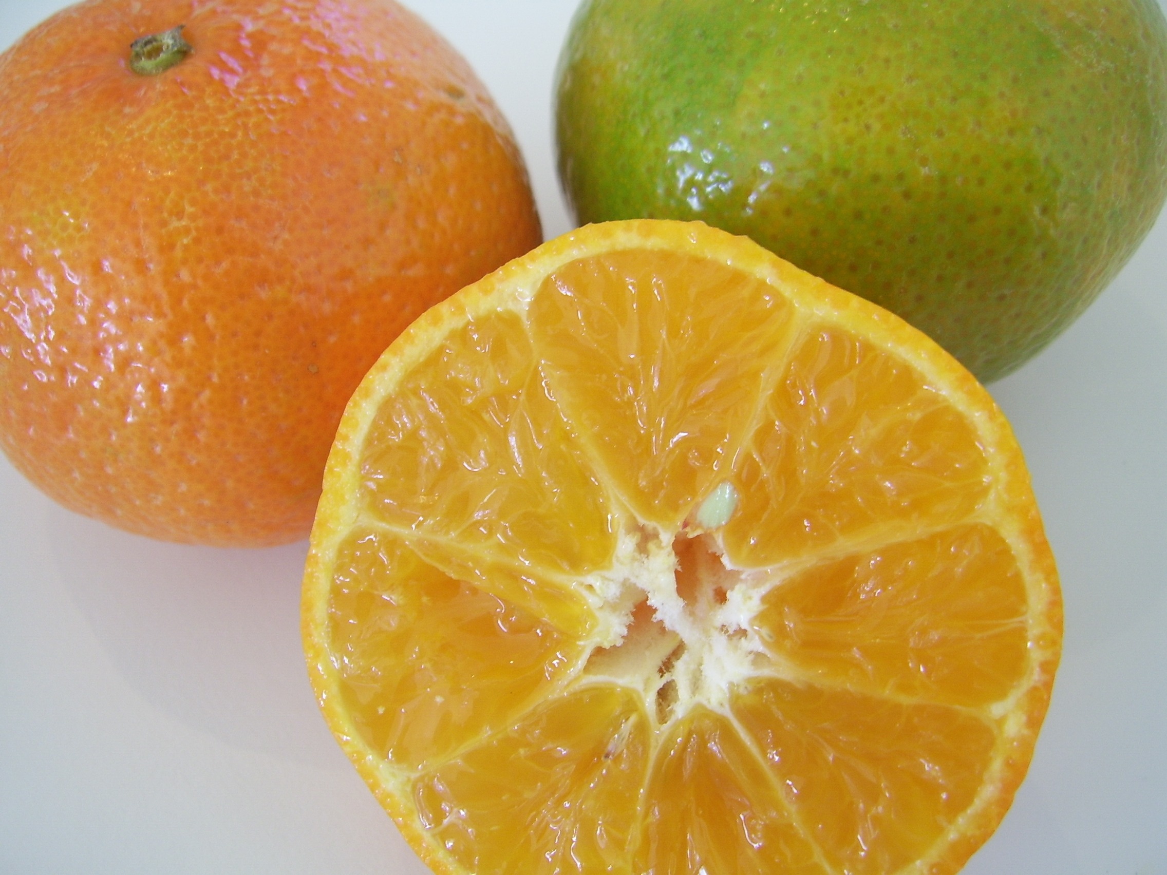 Фруктово цитрусовый. Фрукт цитрус кумкват. Мандарин скрещенный с апельсином. Фрукт похожий на апельсин. Зелёный фрукт похожий на апельсин.