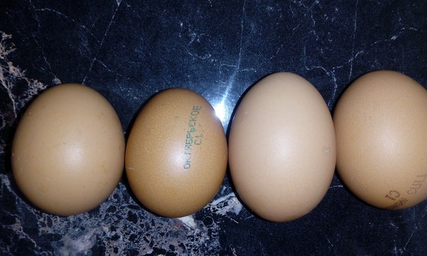 Какие Яйца Лучше С1 Или С0