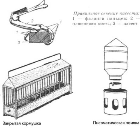 Кормушка бункерная для перепелов своими руками размеры и чертежи