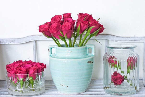 Как дольше сохранить срезанные розы в вазе. Что добавить в воду чтобы розы дольше стояли в вазе.