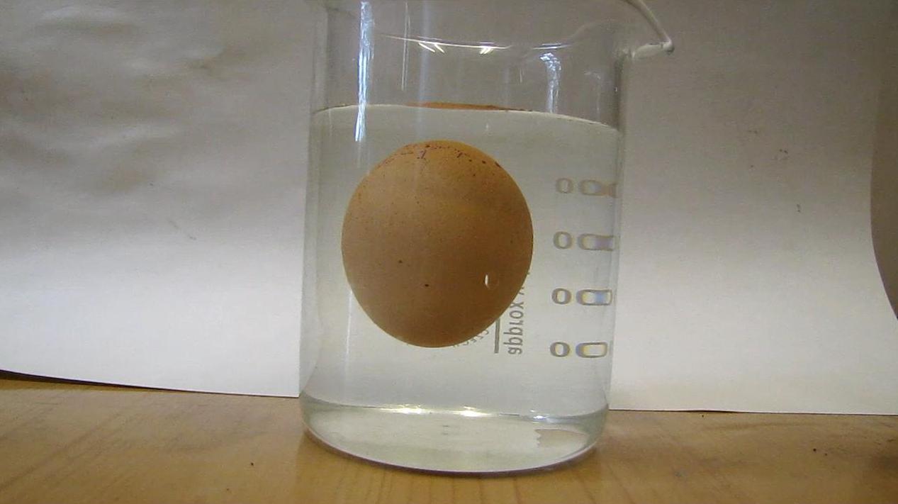 Плотность яйца в пресной воде